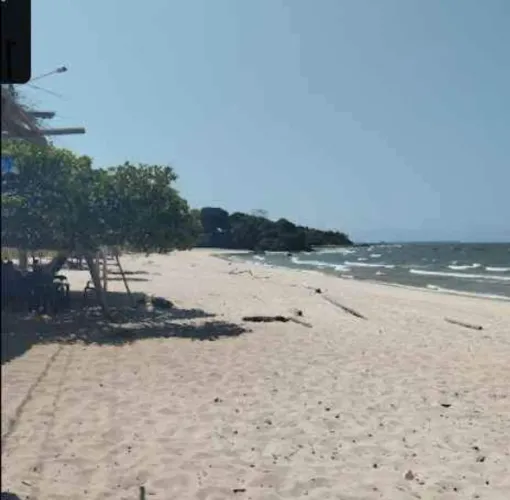 Terreno praiano no Marajó - PA