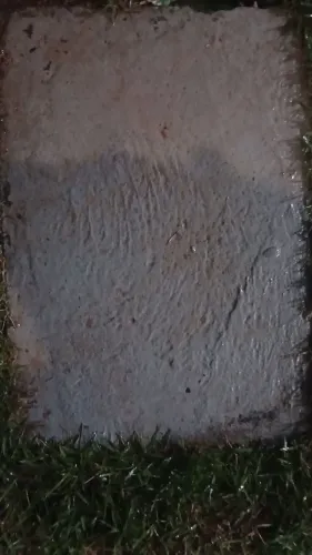 Pisadeira