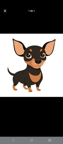 Queria comprar uma fêmea pinscher que seja em Itajaí Santa Catarina um preço bom não tem
