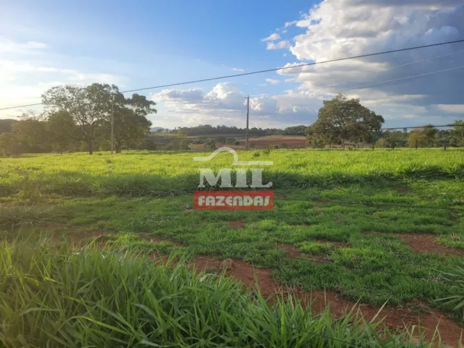 Chácara 9 Alqueires (43,56 hectares) Itaguari - GO