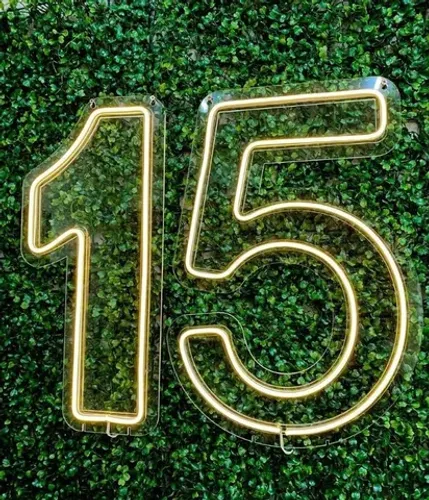 Painel Neon Numero 15 Quinze Iluminação Branco 50 Cm