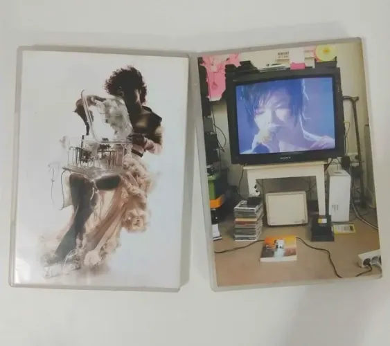 Bjork dvds