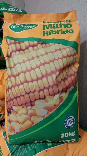 Semente de Milho BRS2022 para silagem 20kg Gransafra(Novo)