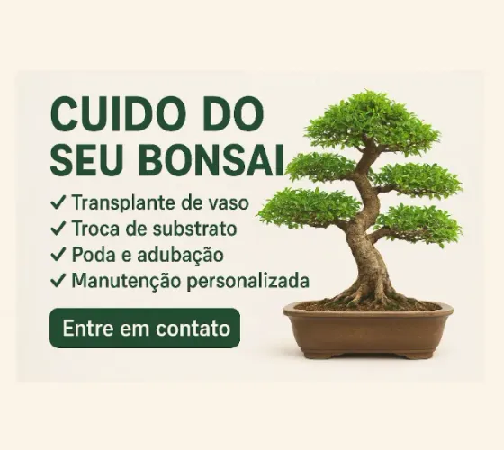 Manutenção de Bonsais - Serviços completos