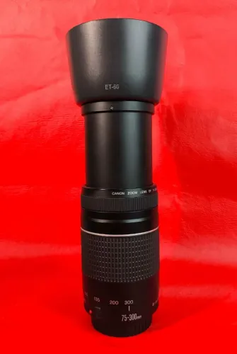 Lente Canon Zoom EF 75-300mm