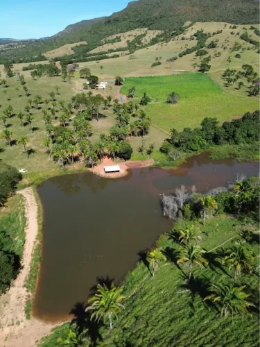 Fazendo cocalzinho de 125 alqueires