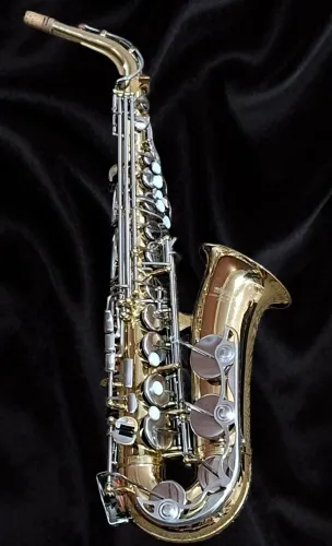 Saxofone Alto Yamaha YAS25