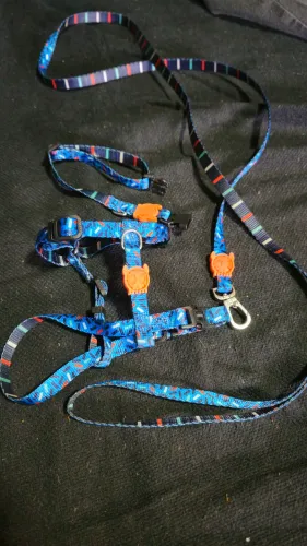 Kit ZeeDog PP azul - peitoral + guia + coleira