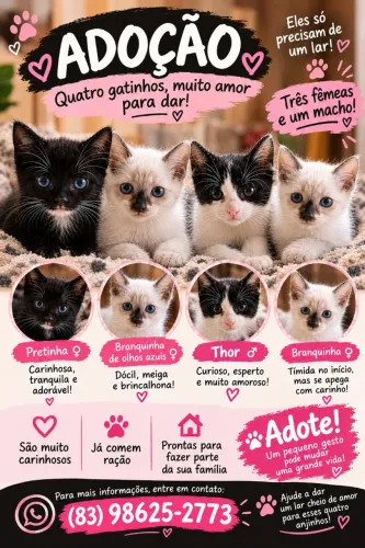 GATINHOS PARA ADOÇÃO 
