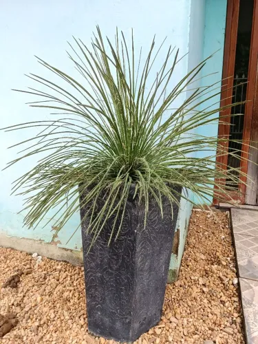 Itens para jardim