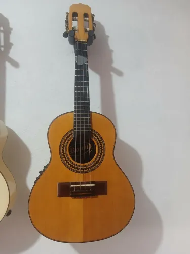 Cavaco Rozini profissional