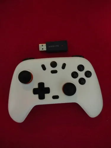 CONTROLE GAMESIR