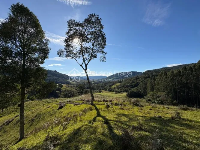 Terreno rural