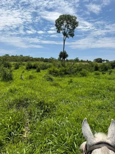 FAZENDA À VENDA  NORTE DE MINAS | OPORTUNIDADE PARA INVESTIDORES DO AGRO