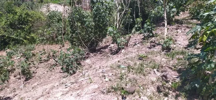 Terreno 250 m2 em s.pedro- santana de parnaíba