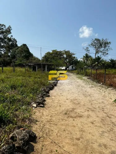 Granja com 12 hectares à Venda Conde/PB