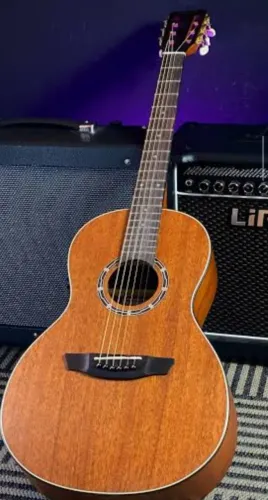 Violão Steinberg sy 25