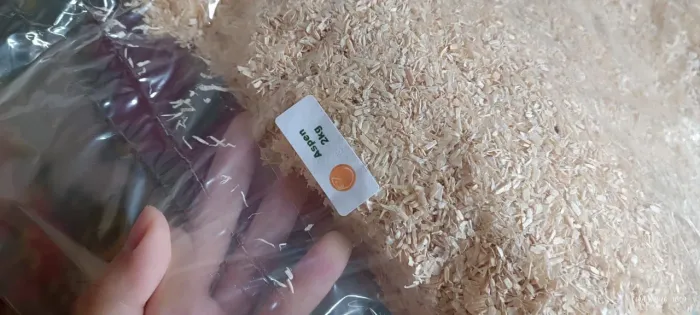 Aspen para terrário de hamister