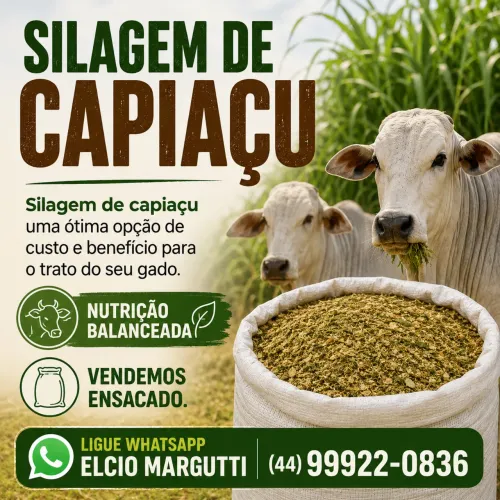 Vaga para trabalhador rural 