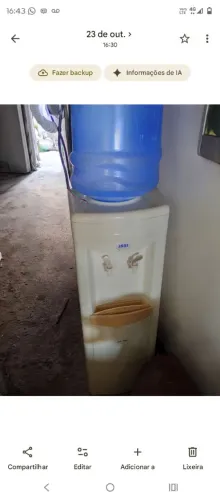 Gelagua