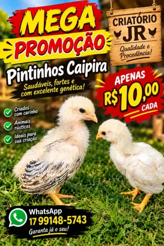 Caipira