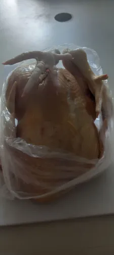 Frango fresco do dia