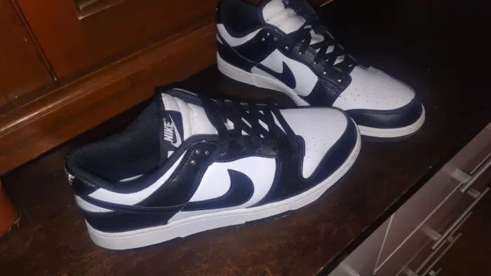 Nike dunk low
