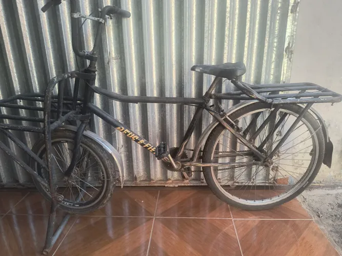 Bicicleta Cargueira