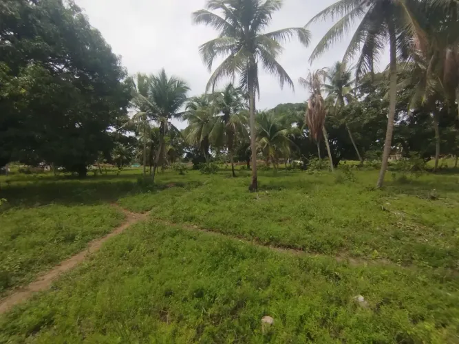 OPORTUNIDADE! VENDO LOTE COM 60.000 M², EM CANGUARETAMA, IDEAL PARA MINHA CASA MINHA VIDA,