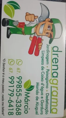 Promoção de poda de árvores em campo grande ms