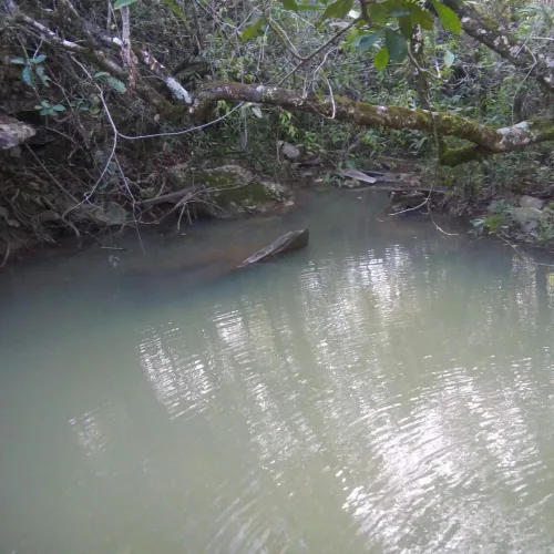 Sítio 30.000m2 - QUITADO