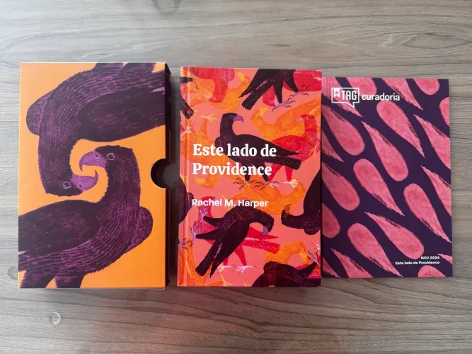 Livro TAG Este lado de Providence