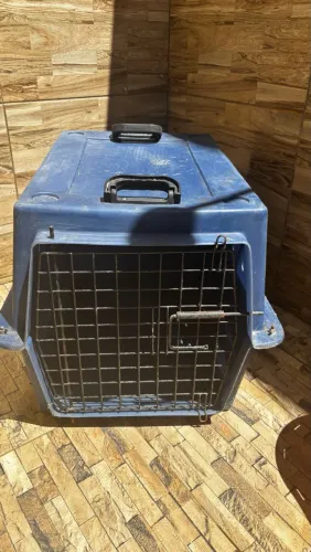 Caixa de transporte Pet