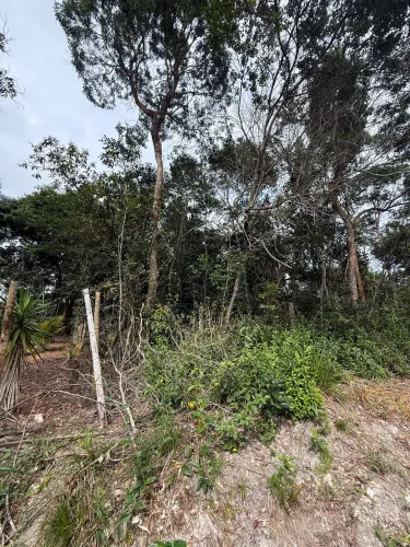 Vende-se terreno em Candeias distrito de Conceição do Mato Dentro