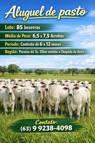 Aluguel de Pastos 