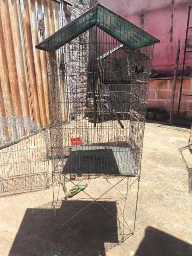Gaiolas para pássaros