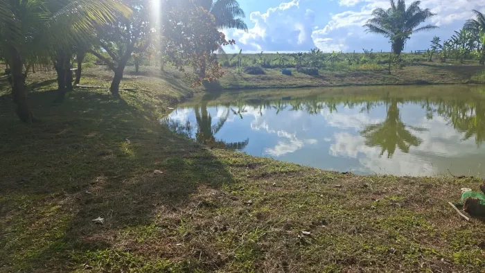 Chácara km 34 transacreana , 150 de ramal 