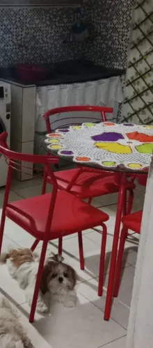 Vendo mesa de ferro e tampo de vidro  com 4 cadeiras 