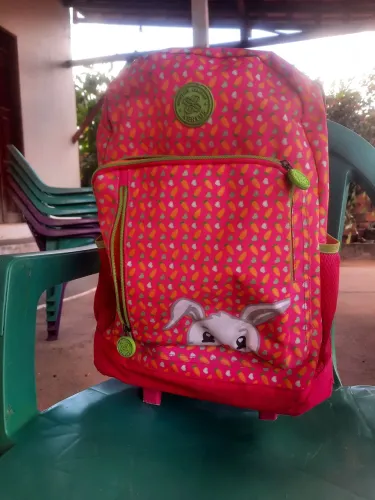 Mochila escolar