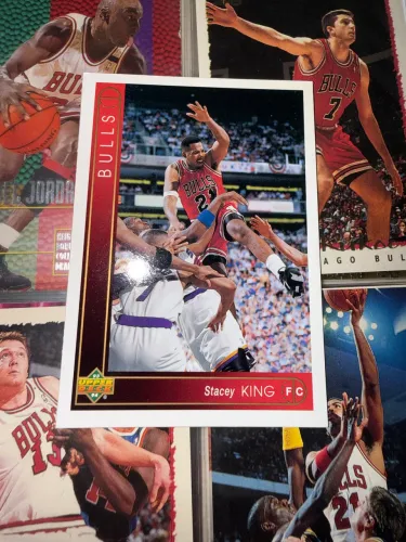 Stacey King 1993-94 Upper Deck #329 Chicago Bulls NBA