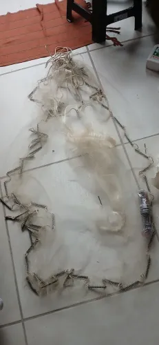 Vendo coisas de pescaria