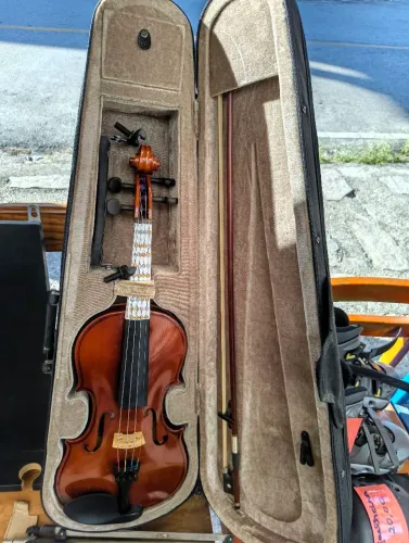 Violino parrot