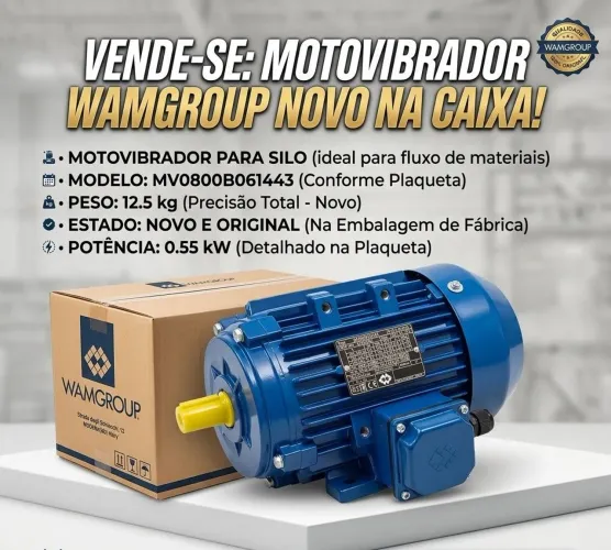 Motovibrador