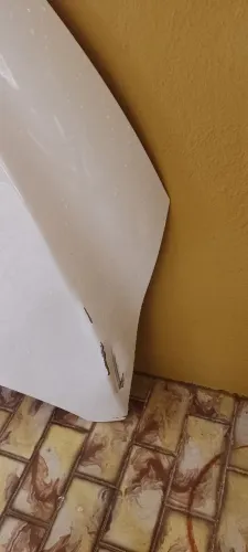 Capô Onix LT 2019