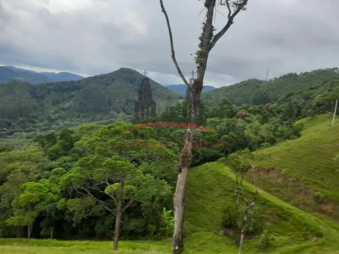 Sítio para venda Braço do Norte Antônio Carlos