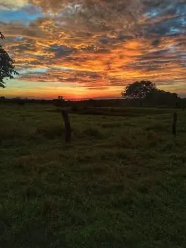 1 hectare de terra localizada na capixaba/Alcoobras