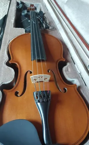 Vendo violino