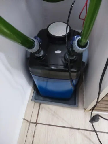 Aquario completo