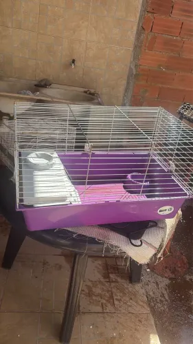  Gaiola Ferplast Cavie 80 para Roedores Violeta