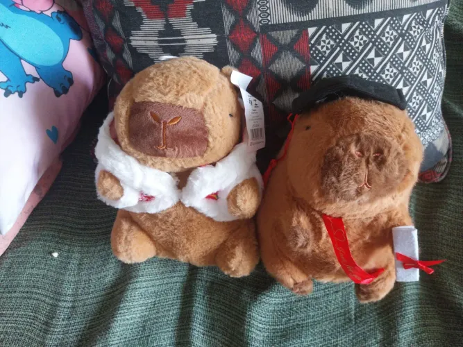 Pelúcias novas capivara cada